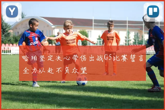 哈珀坚定决心带伤出战G5比赛誓言全力以赴不负众望