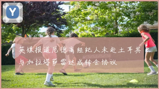 英媒报道厄德高经纪人未赴土耳其与加拉塔萨雷达成转会协议